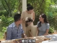 爆料吃瓜在线观看汪小菲婚礼倒计时陷桃色风暴：前夫四连锤曝马筱梅出轨实锤 张颖颖在线吃瓜
