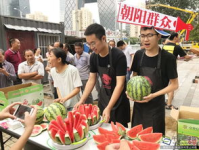 北京朝阳人民吃瓜网