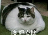 相扑猫微密圈吃瓜网,揭秘吃瓜网上的萌宠相扑大赛