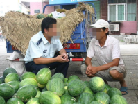 河南滑县网红视频吃瓜,揭秘当地特色美食文化